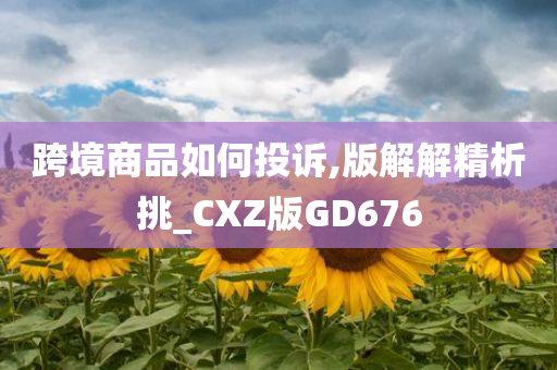 跨境商品如何投诉,版解解精析挑_CXZ版GD676