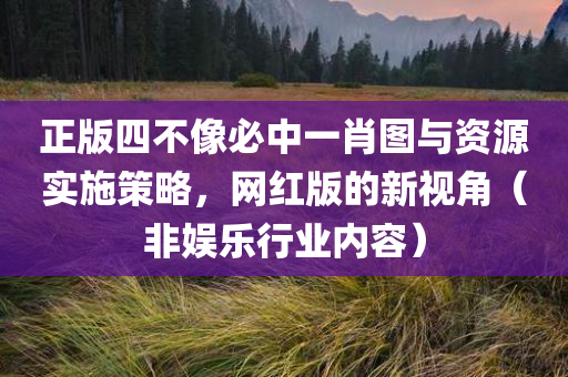 正版四不像必中一肖图与资源实施策略，网红版的新视角（非娱乐行业内容）