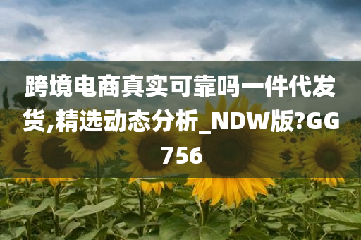 跨境电商真实可靠吗一件代发货,精选动态分析_NDW版?GG756