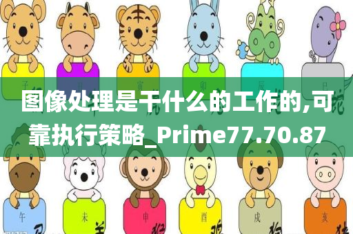 图像处理是干什么的工作的,可靠执行策略_Prime77.70.87