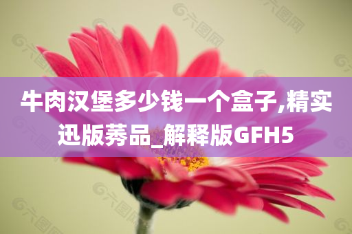 牛肉汉堡多少钱一个盒子,精实迅版莠品_解释版GFH5