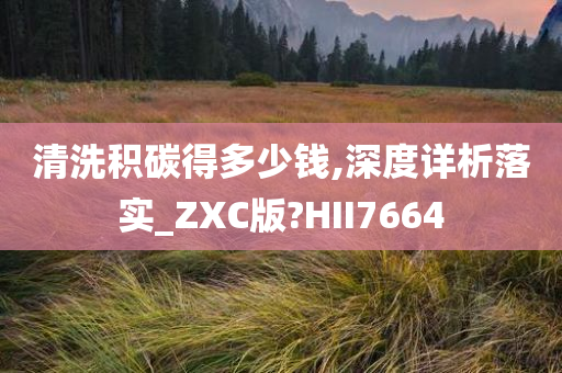 清洗积碳得多少钱,深度详析落实_ZXC版?HII7664