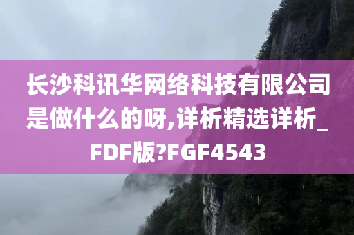 长沙科讯华网络科技有限公司是做什么的呀,详析精选详析_FDF版?FGF4543