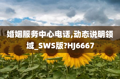 婚姻服务中心电话,动态说明领域_SWS版?HJ6667