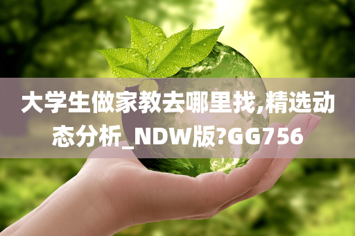 大学生做家教去哪里找,精选动态分析_NDW版?GG756