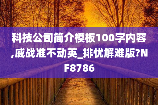 科技公司简介模板100字内容,威战准不动英_排忧解难版?NF8786