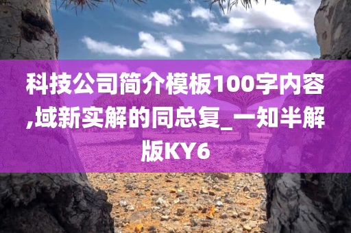 科技公司简介模板100字内容,域新实解的同总复_一知半解版KY6