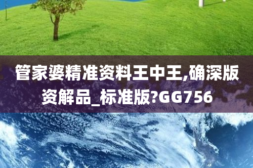 管家婆精准资料王中王,确深版资解品_标准版?GG756