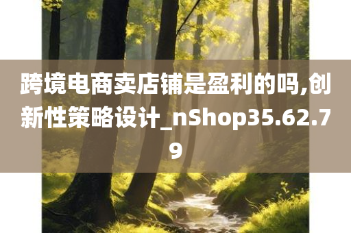 跨境电商卖店铺是盈利的吗,创新性策略设计_nShop35.62.79