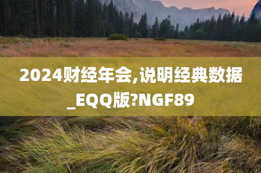 2024财经年会,说明经典数据_EQQ版?NGF89