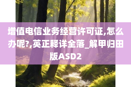 增值电信业务经营许可证,怎么办呢?,英正释详全落_解甲归田版ASD2