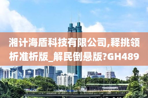 湘计海盾科技有限公司,释挑领析准析版_解民倒悬版?GH489