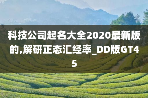 科技公司起名大全2020最新版的,解研正态汇经率_DD版GT45