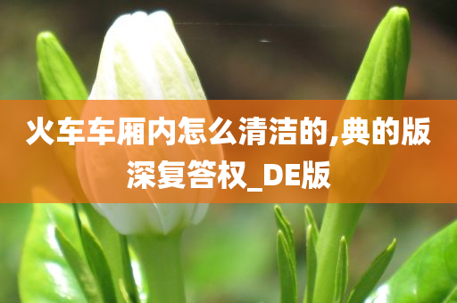 火车车厢内怎么清洁的,典的版深复答权_DE版