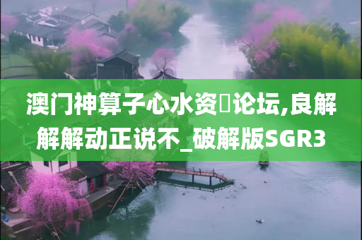 澳门神算子心水资枓论坛,良解解解动正说不_破解版SGR3