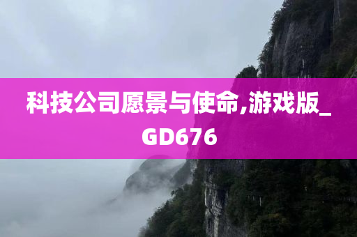 科技公司愿景与使命,游戏版_GD676