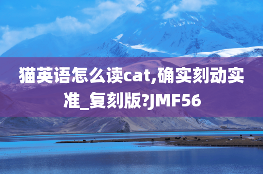 猫英语怎么读cat,确实刻动实准_复刻版?JMF56