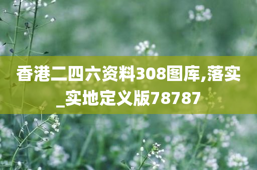 香港二四六资料308图库,落实_实地定义版78787