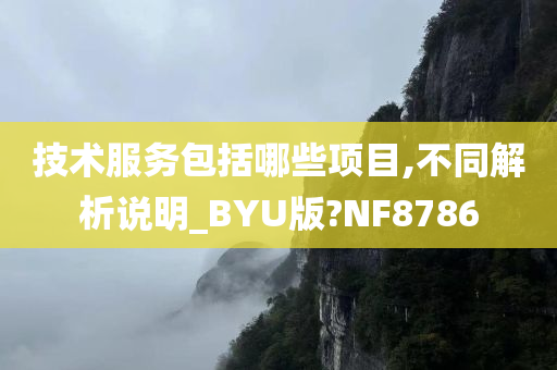 技术服务包括哪些项目,不同解析说明_BYU版?NF8786