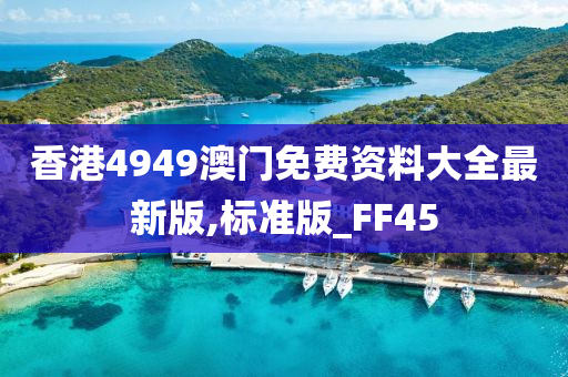 香港4949澳门免费资料大全最新版,标准版_FF45