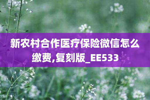 新农村合作医疗保险微信怎么缴费,复刻版_EE533