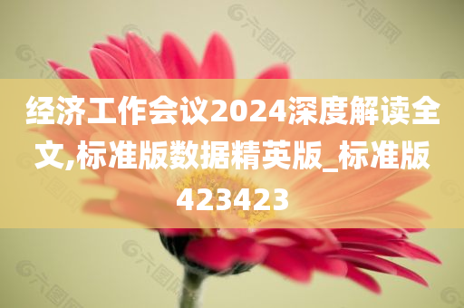 经济工作会议2024深度解读全文,标准版数据精英版_标准版423423