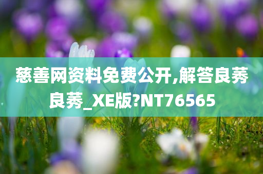 慈善网资料免费公开,解答良莠良莠_XE版?NT76565