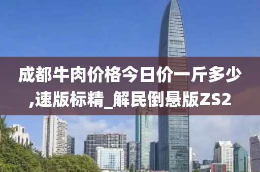 成都牛肉价格今日价一斤多少,速版标精_解民倒悬版ZS2