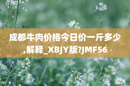 成都牛肉价格今日价一斤多少,解释_XBJY版?JMF56