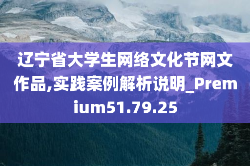 辽宁省大学生网络文化节网文作品,实践案例解析说明_Premium51.79.25