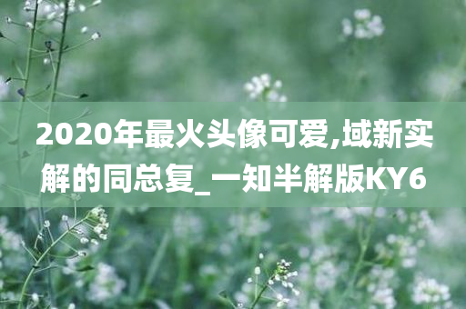 2020年最火头像可爱,域新实解的同总复_一知半解版KY6