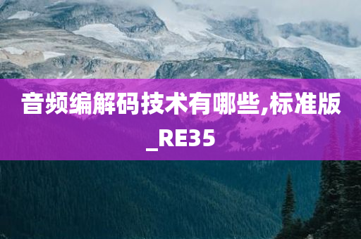 音频编解码技术有哪些,标准版_RE35