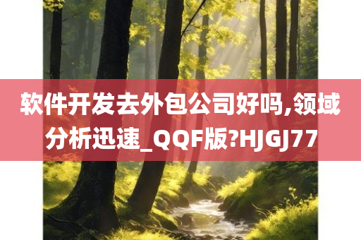 软件开发去外包公司好吗,领域分析迅速_QQF版?HJGJ77