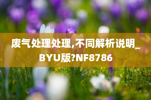 废气处理处理,不同解析说明_BYU版?NF8786