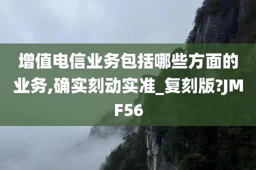 增值电信业务包括哪些方面的业务,确实刻动实准_复刻版?JMF56