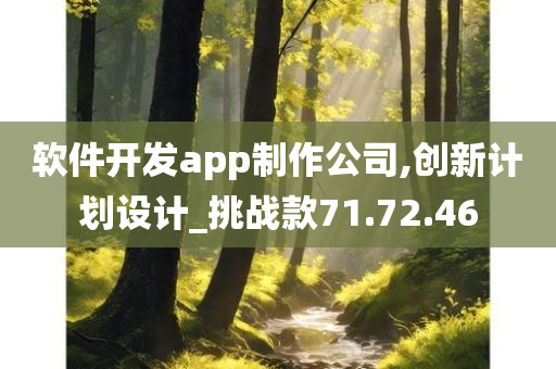 软件开发app制作公司,创新计划设计_挑战款71.72.46