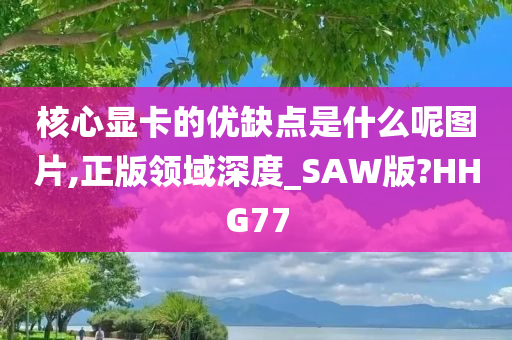 核心显卡的优缺点是什么呢图片,正版领域深度_SAW版?HHG77