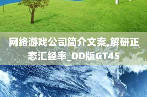 网络游戏公司简介文案,解研正态汇经率_DD版GT45