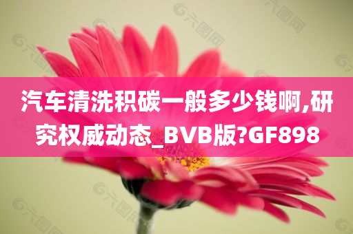 汽车清洗积碳一般多少钱啊,研究权威动态_BVB版?GF898