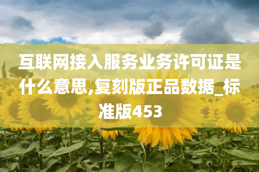 互联网接入服务业务许可证是什么意思,复刻版正品数据_标准版453