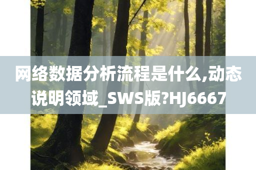 网络数据分析流程是什么,动态说明领域_SWS版?HJ6667