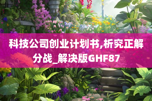 科技公司创业计划书,析究正解分战_解决版GHF87