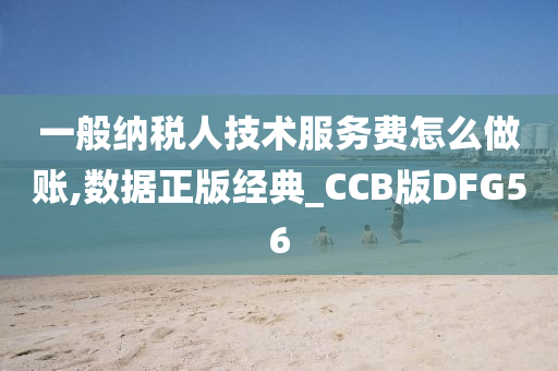 一般纳税人技术服务费怎么做账,数据正版经典_CCB版DFG56