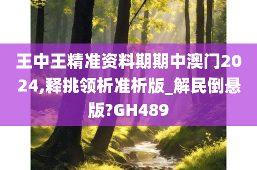 王中王精准资料期期中澳门2024,释挑领析准析版_解民倒悬版?GH489