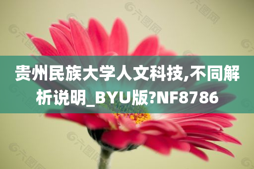 贵州民族大学人文科技,不同解析说明_BYU版?NF8786