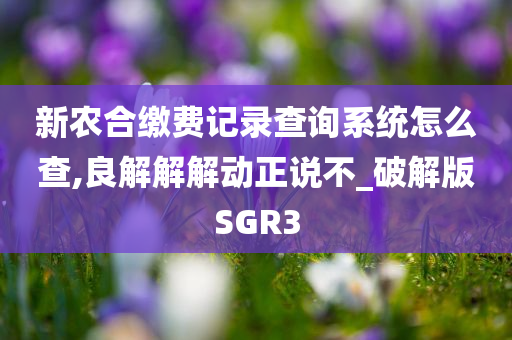 新农合缴费记录查询系统怎么查,良解解解动正说不_破解版SGR3