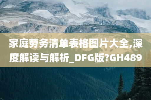 家庭劳务清单表格图片大全,深度解读与解析_DFG版?GH489