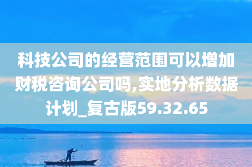 科技公司的经营范围可以增加财税咨询公司吗,实地分析数据计划_复古版59.32.65