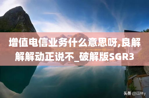 增值电信业务什么意思呀,良解解解动正说不_破解版SGR3