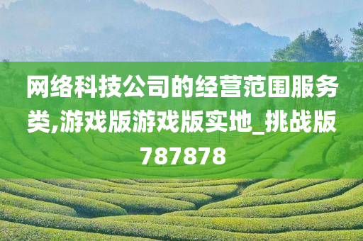 网络科技公司的经营范围服务类,游戏版游戏版实地_挑战版787878